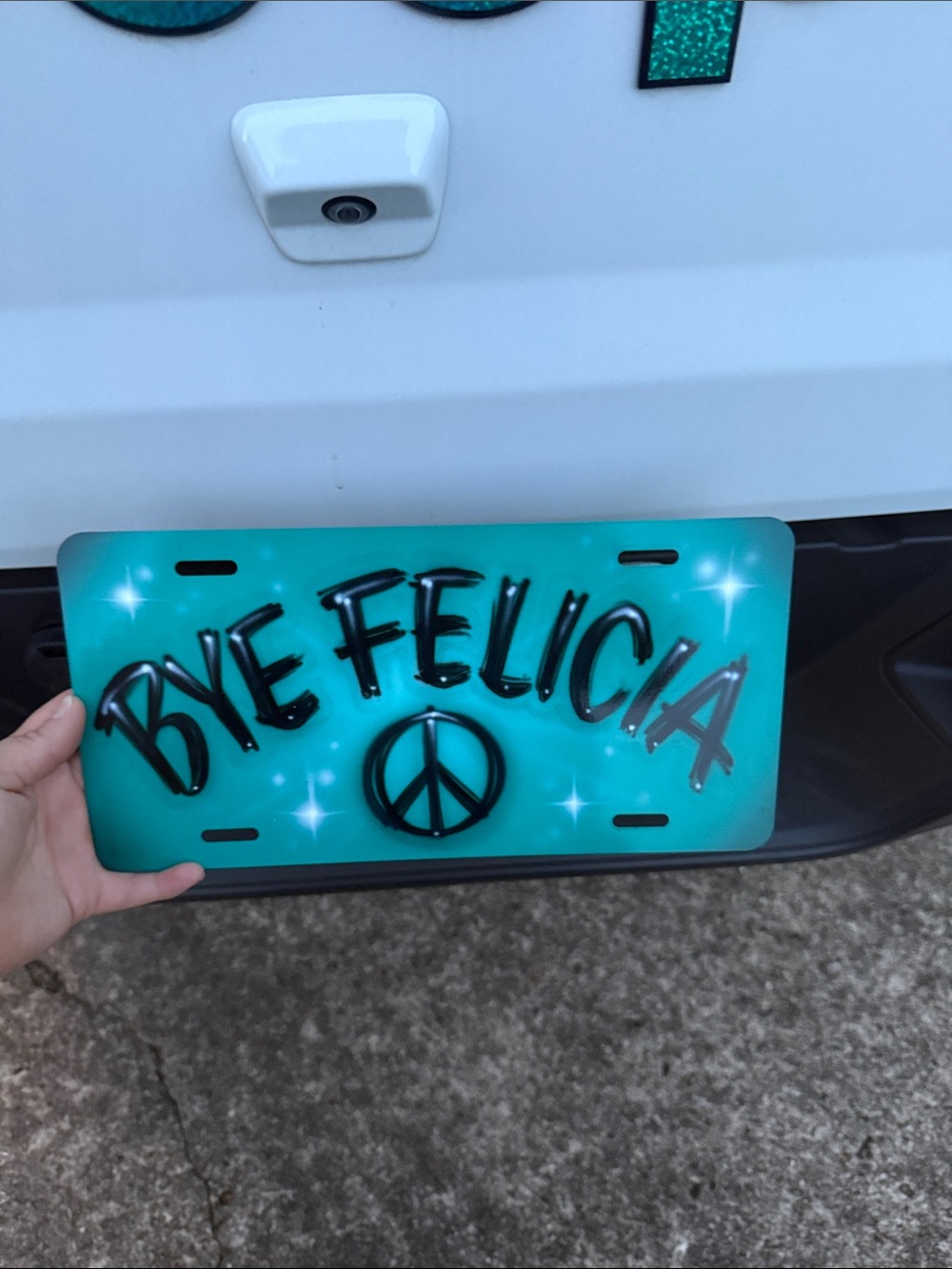 "Bye Felicia" Teal Decorative License Plate BNWT